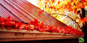 Easy Cleaning Tips from the "Gutter Company Near Me ...
