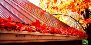 Can the gutter company near me clean my gutters?