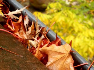 A gutter clogged with leaves.