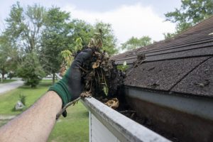 person cleaning leaves and twigs out of their gutters