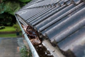 leaky gutters filled with rain water