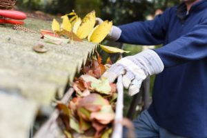 homeowner cleaning out the gutters